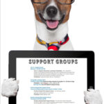 Support Group